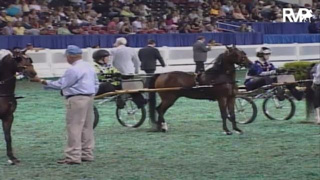 2007 WCHS Class 124 Junior Exhibitor ...