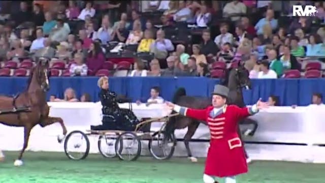 2010 World's Championship Horse Show ...