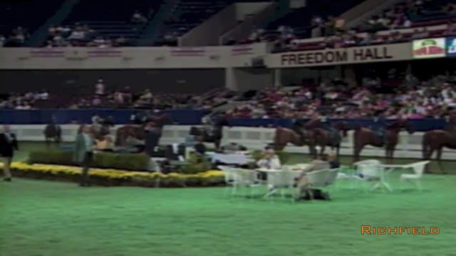 2001 WCHS - Class 87 - Junior Exhibit...