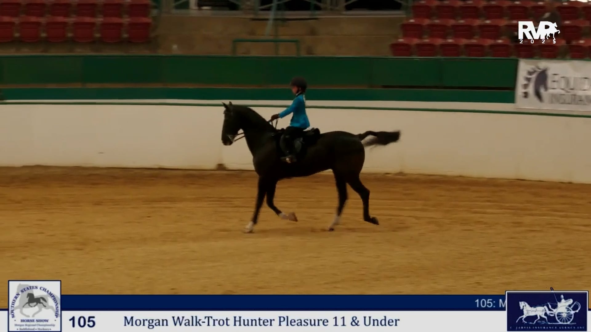 SS25 - Class 105 - Morgan Walk:Trot Hunter Pleasure 11 & Under