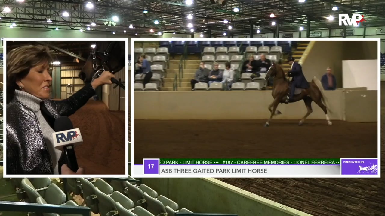 SSFF18 - Class 15 - Say Yes To The Dress