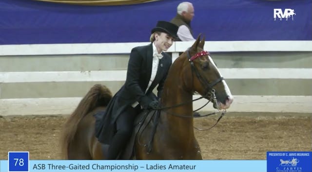 ASC21 - Class 78 - ASB Three Gaited L...