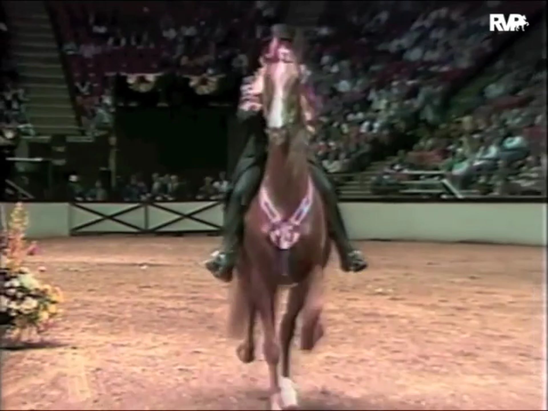 Looking Back on the 1991 The New York National at the Meadowlands