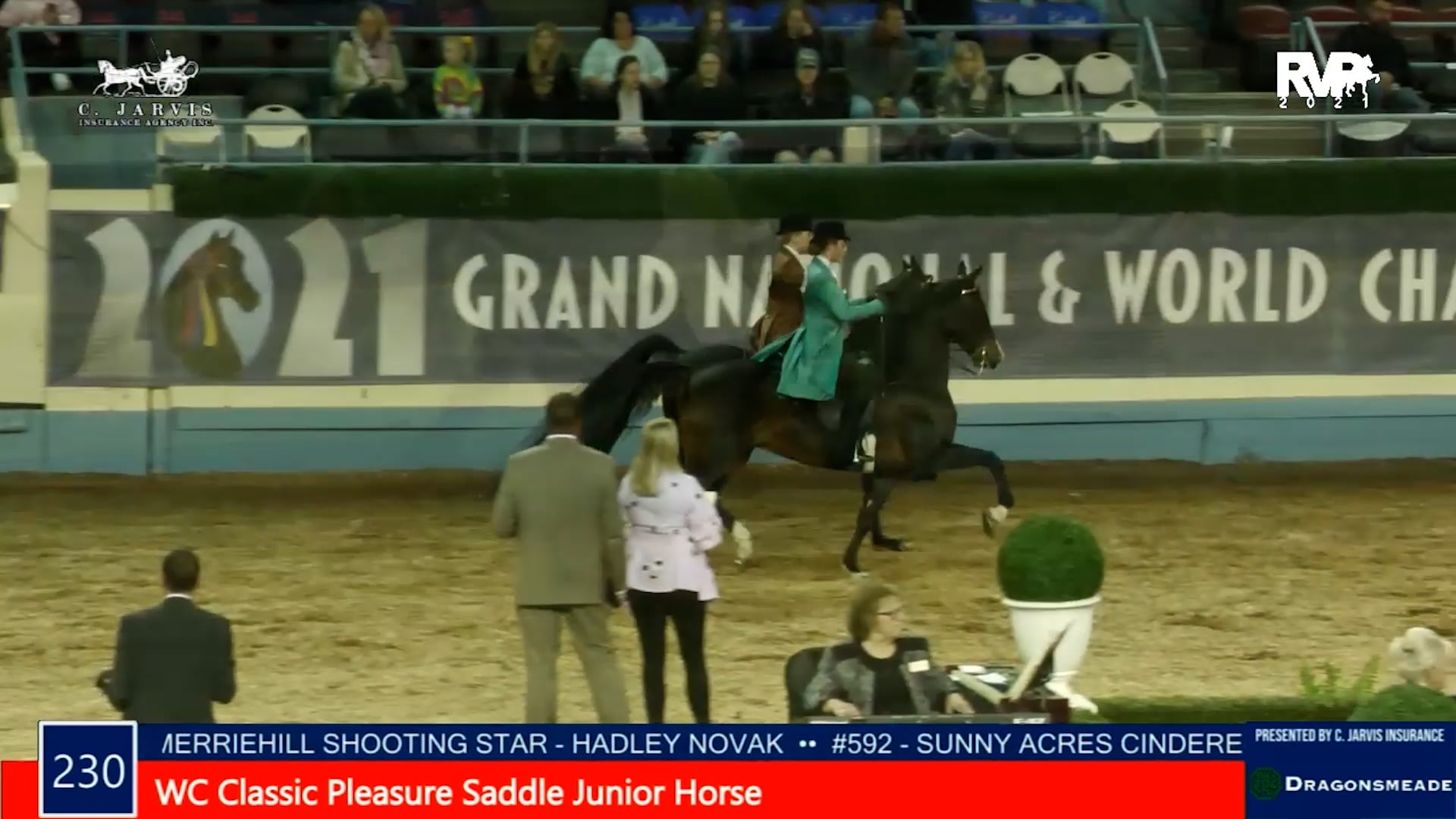 MGN21 - Class 230 - WC Classic Pleasure Saddle Junior Horse