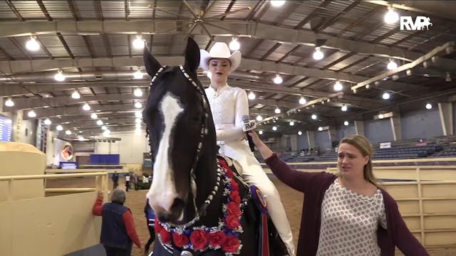 MGN19 - Hollybrook Domino GCH - Class...