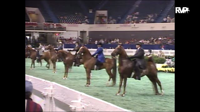 1998 WCHS - Class 30 Five Gaited Pony...