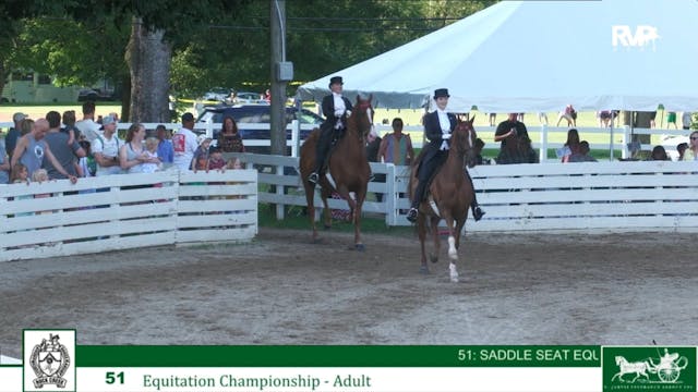 RC24 - Class 51 - Equitation Champion...