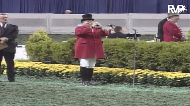 2007 WCHS Class 198 Amateur Harness P...