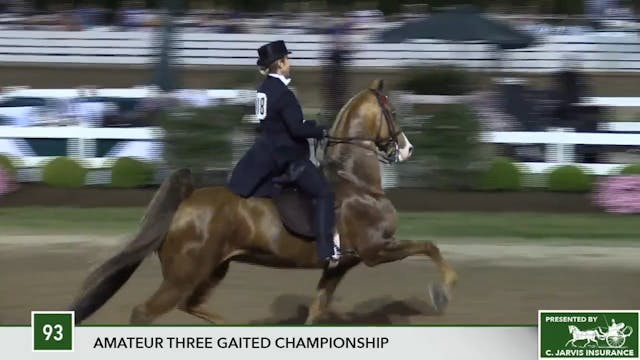 2017 RC - Class 93 Amateur Three Gait...