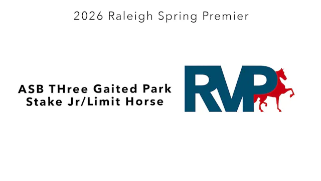 RSP26 - Class 132 - ASB Three Gaited ...