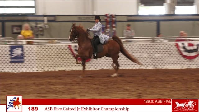 AAC24 - Class 189 - ASB Five Gaited J...