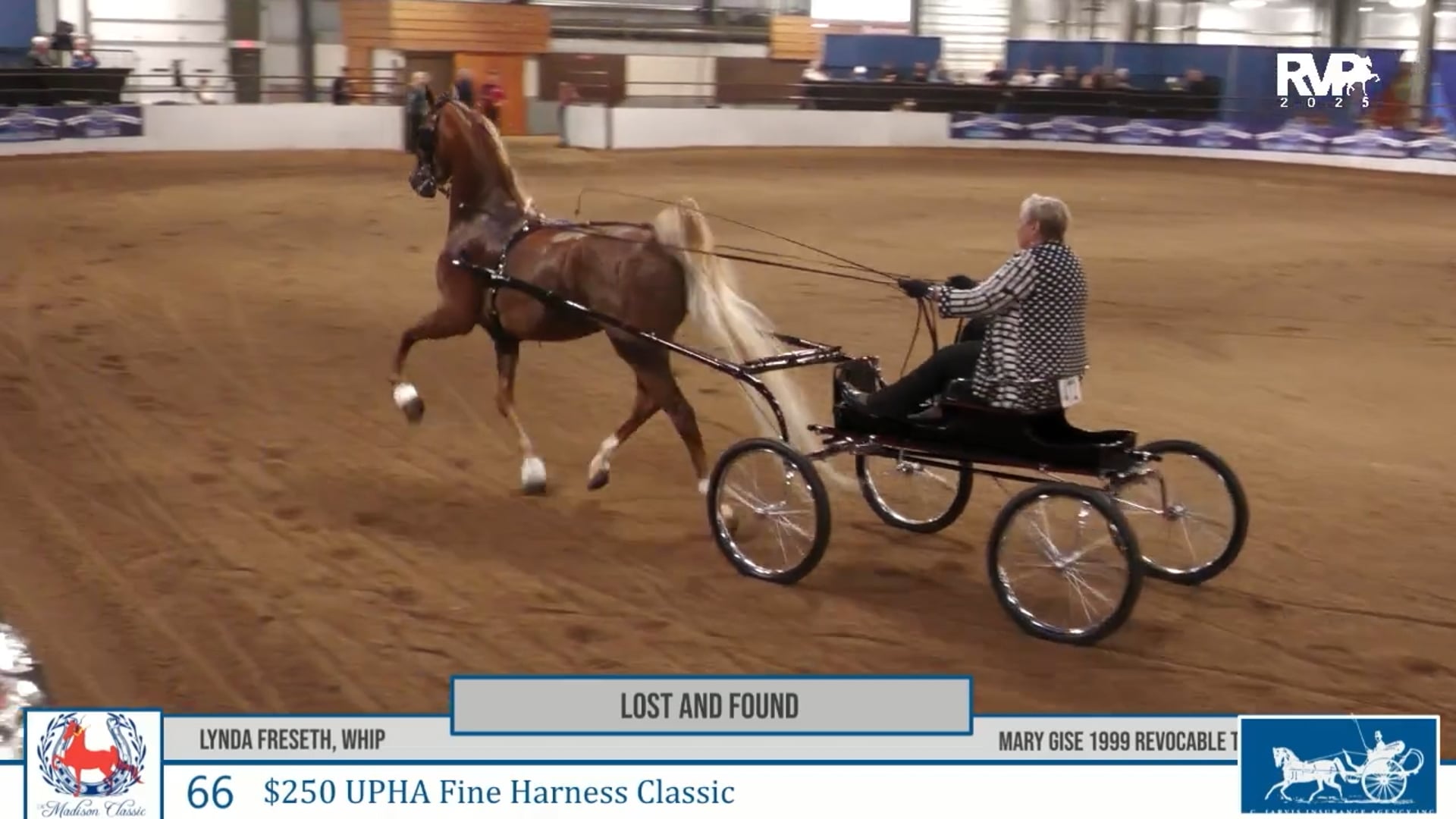 MC25 - Class 66 - Lost and Found and Lynda Freseth, Whip