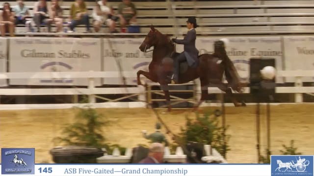 CTSC24 - Class 145 -  ASB Five Gaited...