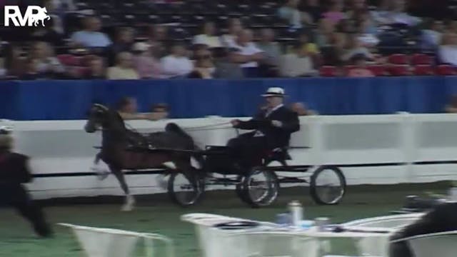 2004 World's Championship Horse Show ...