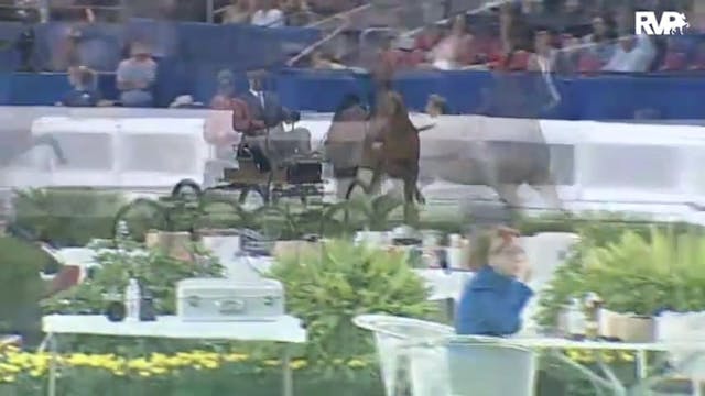 2010 World's Championship Horse Show ...