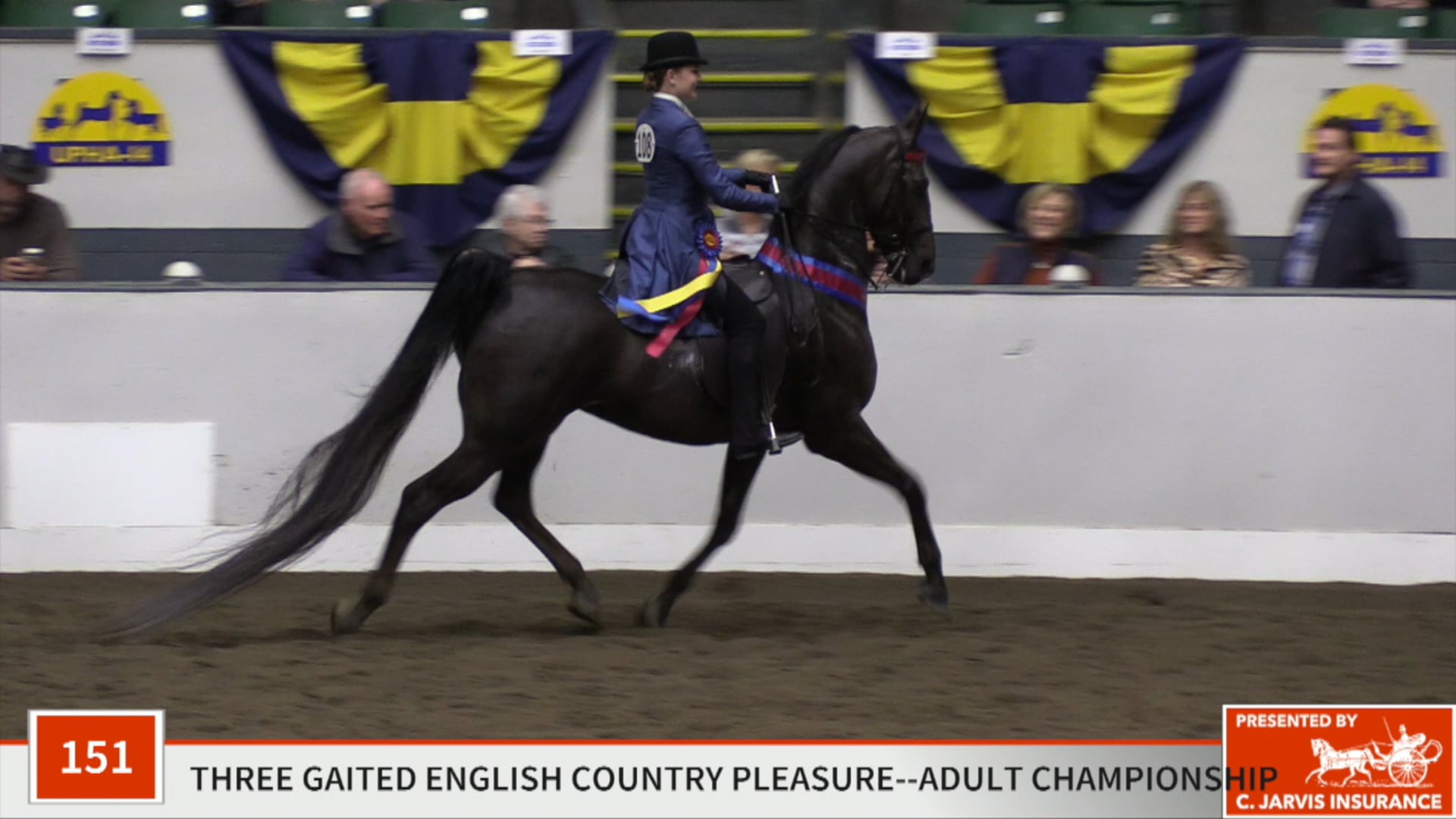 UPHA14-19 - Class 151 - Lullaby Kiss Championship