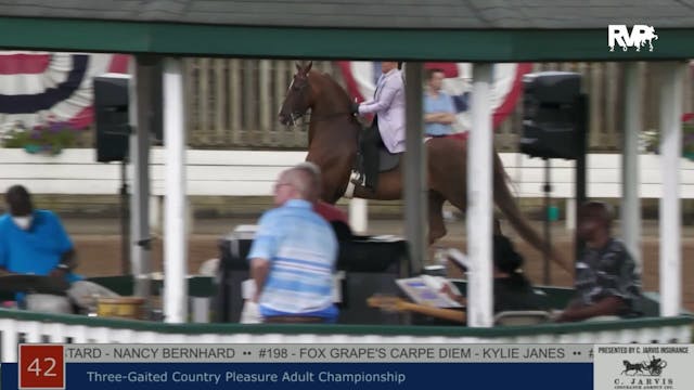 SHS22 - Class 42 -  Three Gaited Coun...