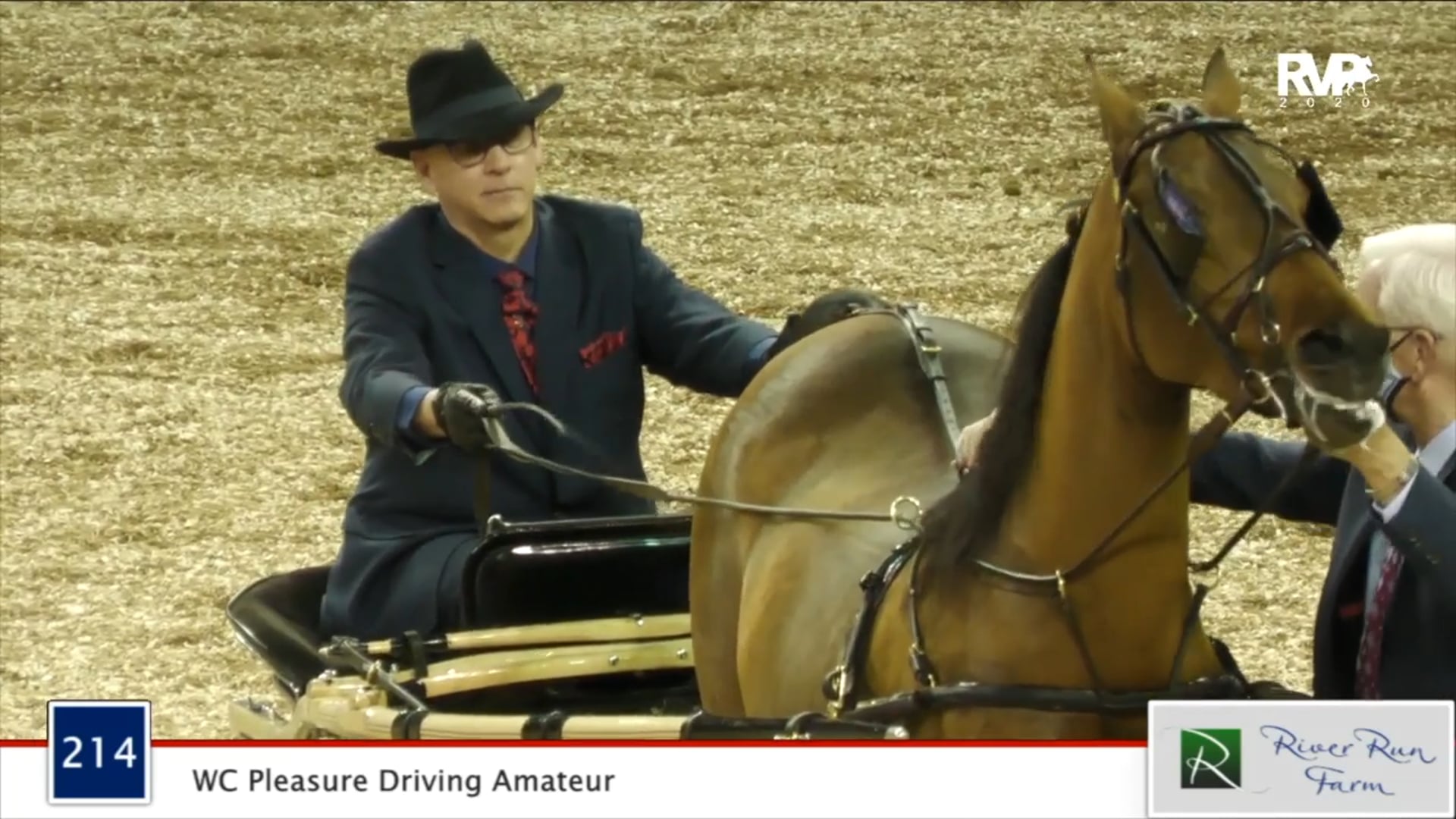 2020 MGN - Class 214 WC Pleasure Driving Amateur