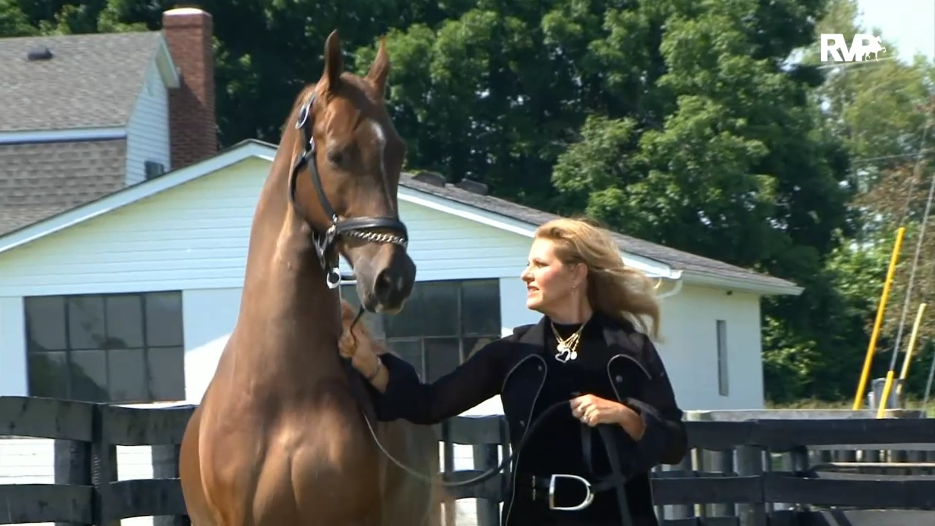 2019 World's Championship Horse Show - Friday Evening