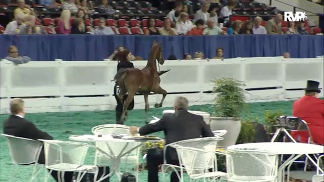 2012 WCHS - Class 2 ASR Futurity Of K...