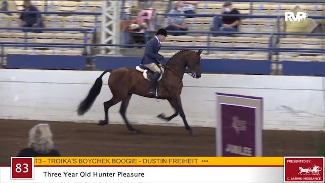 2020 JMHS - Class 83 Three Year Old H...