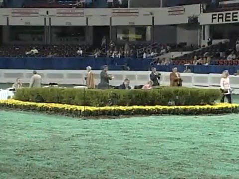 2008 WCHS Class 115 Junior Exhibitor ...