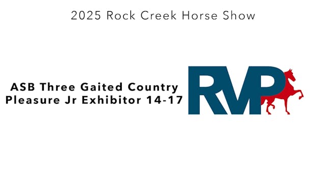 RC25 - Class 36 - ASB Three Gaited Co...