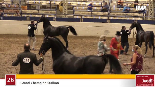 2020 JMHS - Class 26 Grand Champion S...