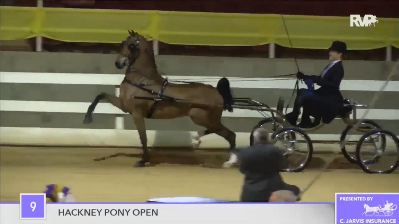 ALCB16 - Thursday Evening