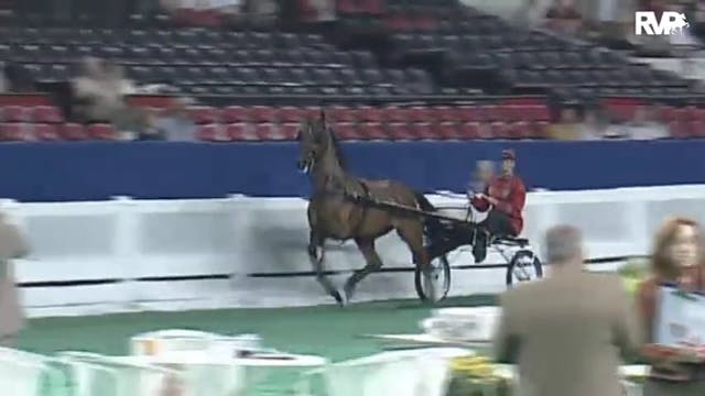 2010 World's Championship Horse Show ...