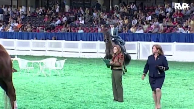 2010 World's Championship Horse Show ...