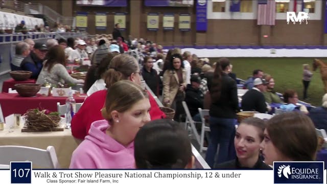 AR23 - Class 107 - Walk-Trot Show Ple...