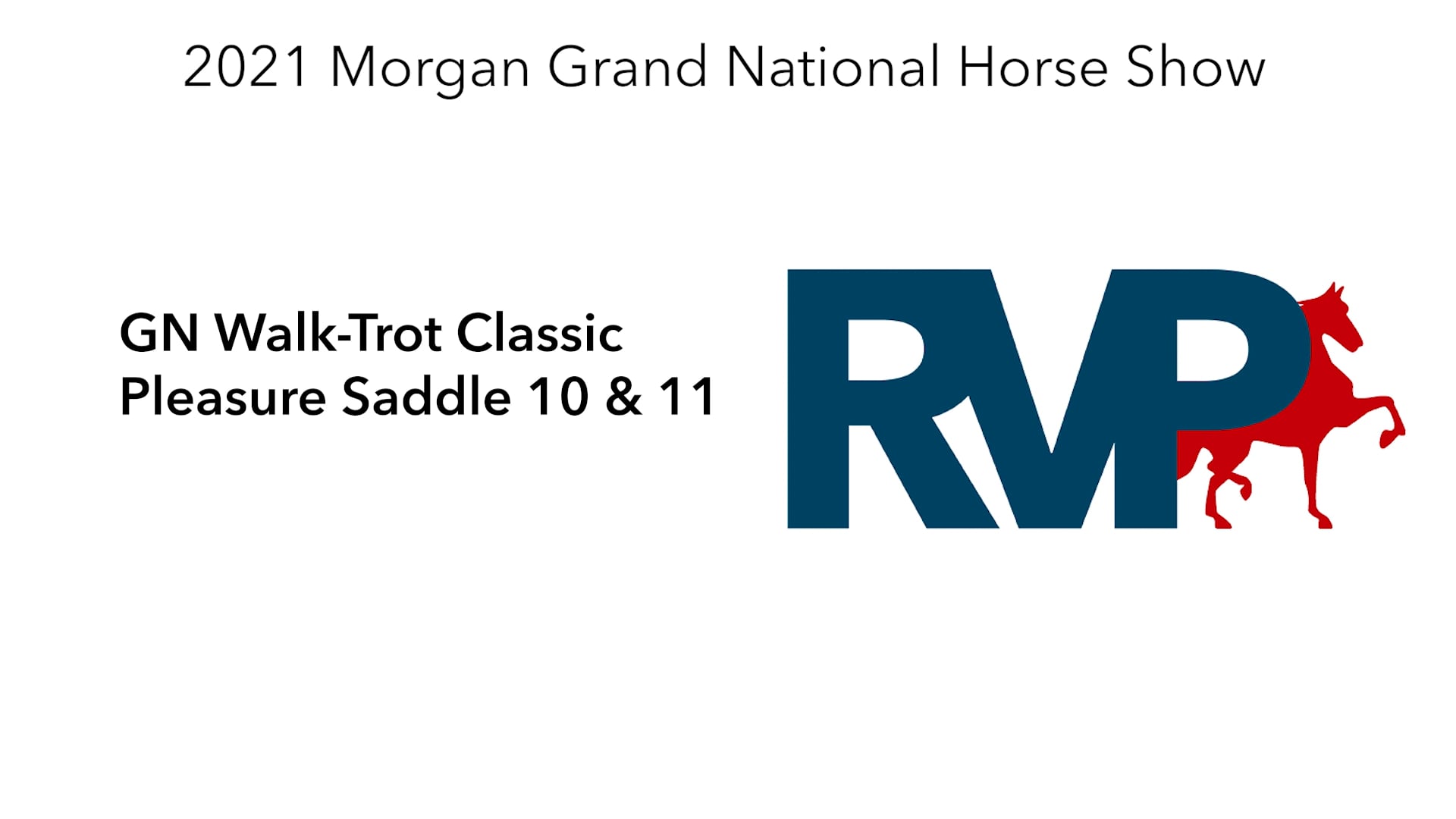 MGN21 - Class 133 - GN Walk-Trot Classic Pleasure Saddle 10 & 11