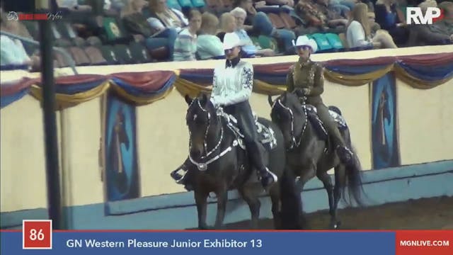 2015 MGN - Class 86 GN Western Pleasu...