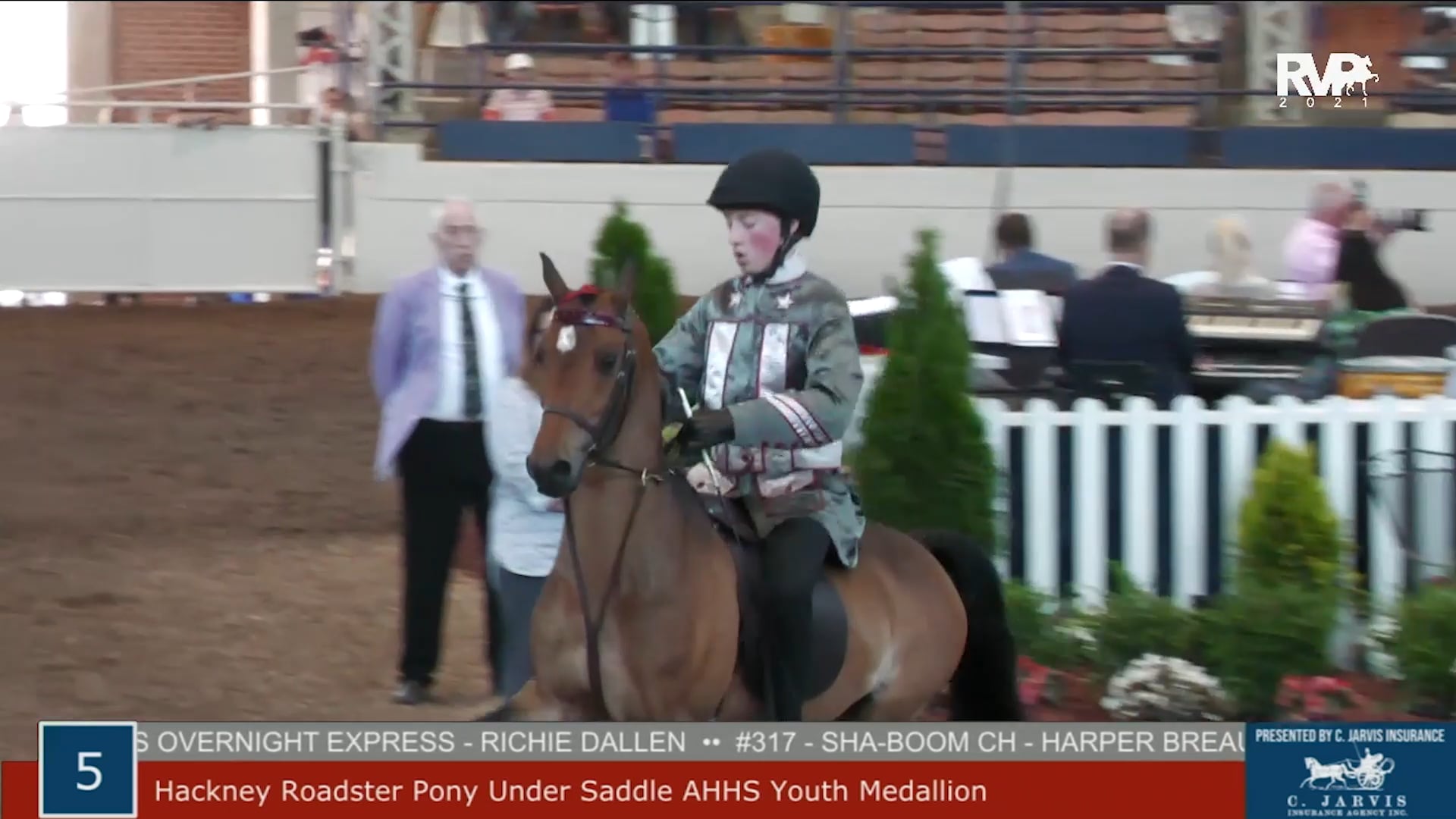 MW21 - Class 5 - Hackney Roadster Pony Under Saddle AHHS Youth Medallion