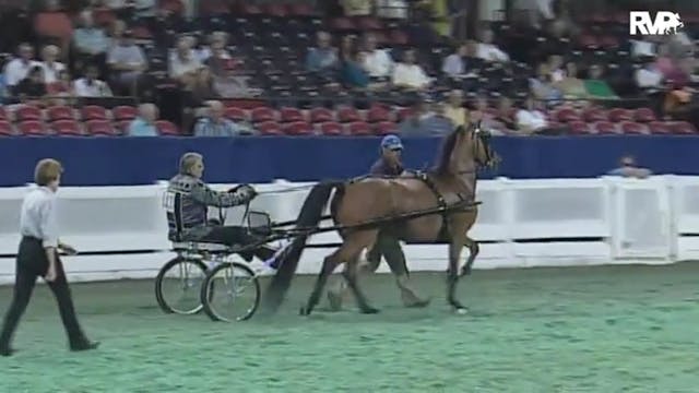 2010 World's Championship Horse Show ...