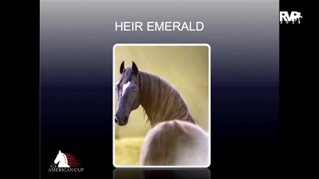 AASA25 4. HEIR EMERALD, 5. (SA) WILGA...