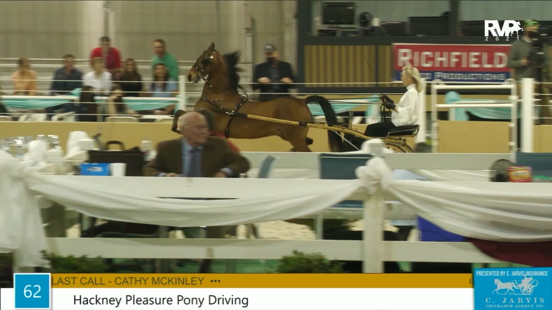 BS21 - Class 62 - Hackney Pleasure Pony Driving