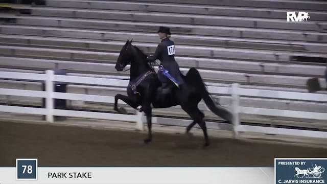 SEC17 Class 78 Blackwatch Magic