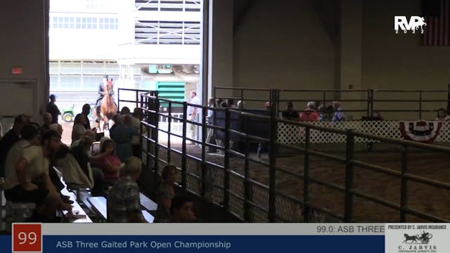 AAC22 - Class 99 -  ASB Three Gaited ...