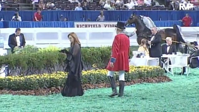 2010 World's Championship Horse Show ...