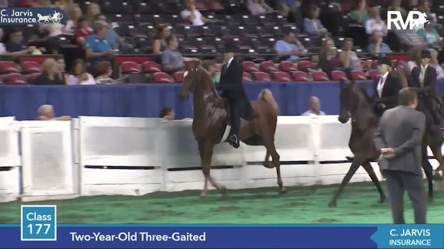 2014-2019 WCHS Two Year Old Three Gai...