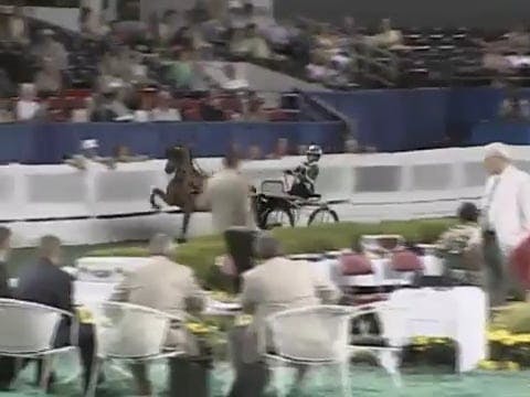 2008 WCHS Class 188 Junior Exhibitor ...