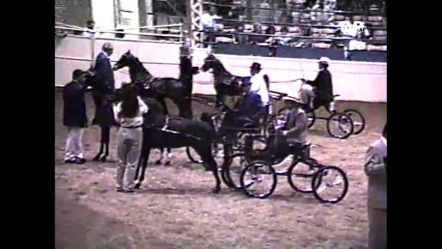 1999 Midwest Charity - UPHA Classic J...
