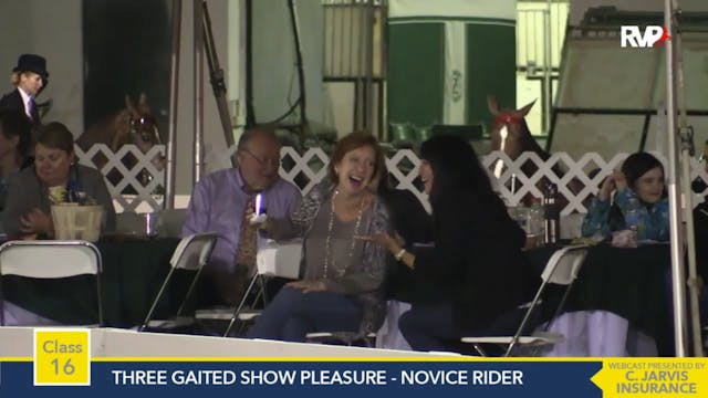 2015 RC - Class 16 Three Gaited Show ...