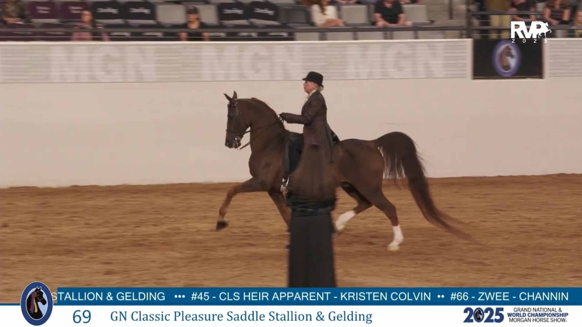 MGN25 - Class 69 - GN Classic Pleasure Saddle Stallion & Gelding
