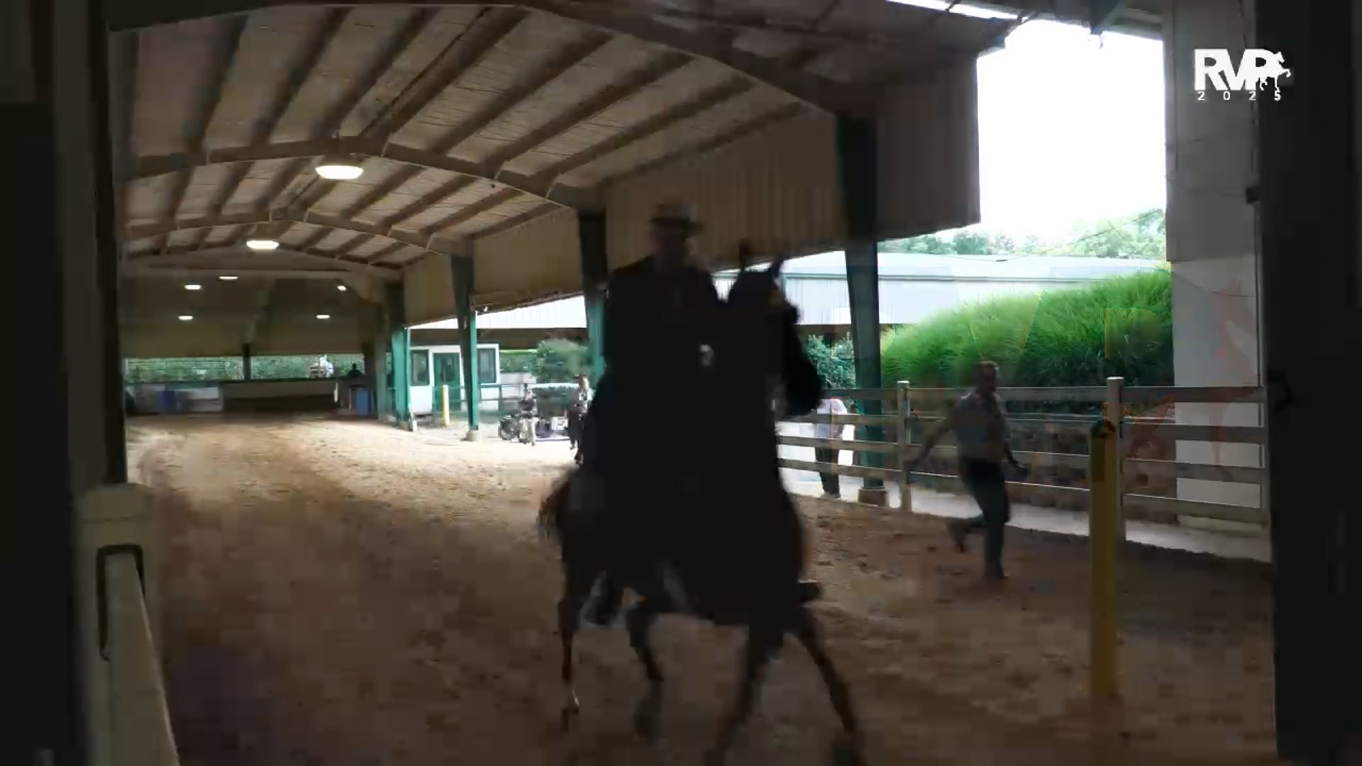 SS25 - Class 37 -  Morgan English Pleasure Junior:Limit Horse