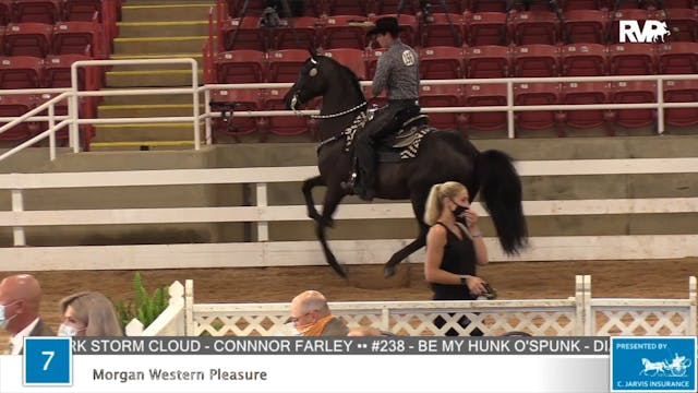 2020 ASF - Class 7 Morgan Western Ple...