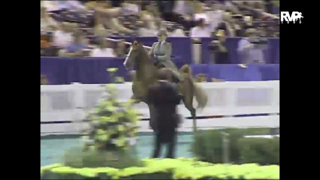 1999 WCHS - Class 4 Five Gaited Show ...