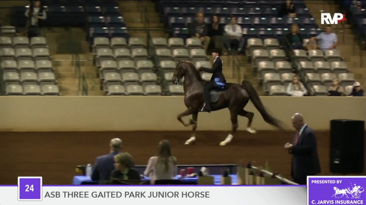 SSFF18 - Class 64 - Nutcracker's Derby Day